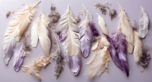 Design Studio 3D Feathers AG-FT-017