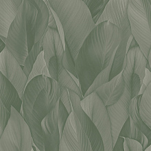 Обои в тропическом стиле Zambaiti Architexture 2 Z57705 Обои в тропическом стиле Zambaiti Architexture 2 Z57705