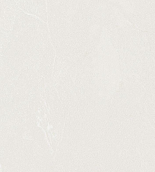 Обои Bernardo Bartalucci Gaga  84284-1